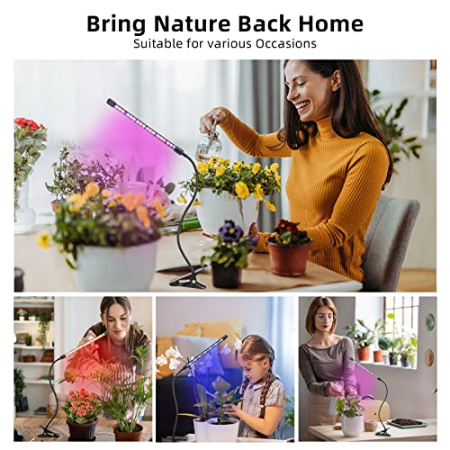 Grow Lights for Indoor Plants, Grow Light with Red Blue Full Spectrum, 3 Switch Modes LED Grow Light with Adjustable Gooseneck, 9 Dimmable Levels Plant Lights for Indoor Plants with Automatic Timer