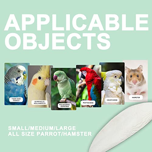 Mivofun Cuttlebone for Birds Parakeets Canaries Cockatiels Small Conures Mynahs Toucans African Greys All Parrots Snails Totoise,Natural Cuttlefish Bone with Holder for Bird Cage (4"-5"-2 Per Pack)