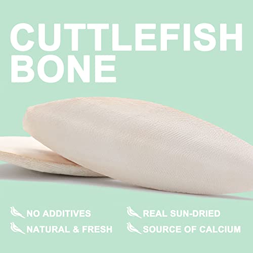 Mivofun Cuttlebone for Birds Parakeets Canaries Cockatiels Small Conures Mynahs Toucans African Greys All Parrots Snails Totoise,Natural Cuttlefish Bone with Holder for Bird Cage (4"-5"-2 Per Pack)