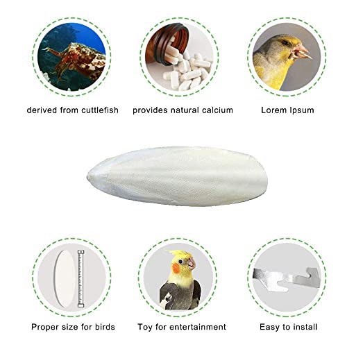 Mivofun Cuttlebone for Birds Parakeets Canaries Cockatiels Small Conures Mynahs Toucans African Greys All Parrots Snails Totoise,Natural Cuttlefish Bone with Holder for Bird Cage (4"-5"-2 Per Pack)