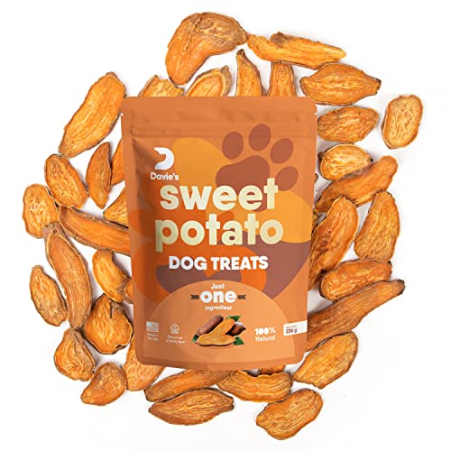 Davie's Sweet Potato Dog Treats, Made in The USA, High in Fiber, Grain Free, Vegan, No Preservatives, Vegetarian Alternative to Rawhide Chews, Rich in Vitamins, Large 1 lb. Bag