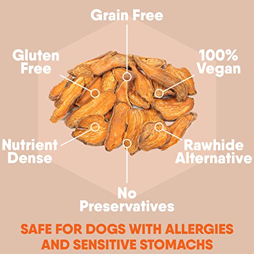 Davie's Sweet Potato Dog Treats, Made in The USA, High in Fiber, Grain Free, Vegan, No Preservatives, Vegetarian Alternative to Rawhide Chews, Rich in Vitamins, Large 1 lb. Bag