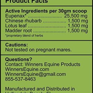 Winners Equine Products X-Treme Air 30 Day - Daily Respiratory Health Treatment