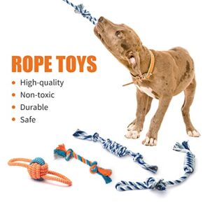 Toozey Puppy Toys, 12 Pack Puppy Toys for Teething Small Dogs, Cute Dog Toys Small Dogs, Stuffed Plush Squeaky Small Dog Toys, Non-Toxic and Safe Ropes Puppy Chew Toys