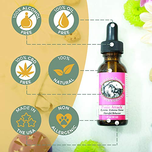 Botanical Animal Safe Natural Flower Essence - Panic Attack For Hysterical Behaviors - Terror, Fear - Due To Travel, Competition, Other - Non-Mood Altering, Hemp-Free, Non Allergenic Product,1oz(30ml)