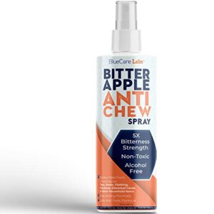 bitter apple spray for dogs to stop chewing furniture & paws - 5x strength pet corrector anti chew deterrent no chew spray alcohol free non toxic & no sting - indoor & outdoor safe, made in usa, 8oz.