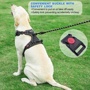 tobeDRI No Pull Dog Harness Adjustable Reflective Oxford Easy Control Medium Large Dog Harness with A Free Heavy Duty 5ft Dog Leash (L (Neck: 18"-25.5", Chest: 24.5"-33"), Blue Harness+Leash)