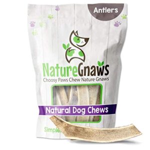 nature gnaws antlers for dogs - premium natural deer and elk antler chews - long lasting dog chews for aggressive chewers - mix of split and whole