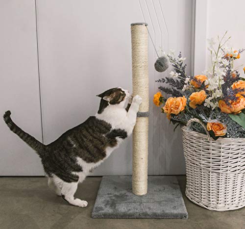 Qucey 32 Inches Cat Scratching Post, Cat Scratch Post Claw Scratcher with Sisal Rope, Scratching Post for Indoor Cats with Hanging Ball