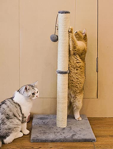 Qucey 32 Inches Cat Scratching Post, Cat Scratch Post Claw Scratcher with Sisal Rope, Scratching Post for Indoor Cats with Hanging Ball