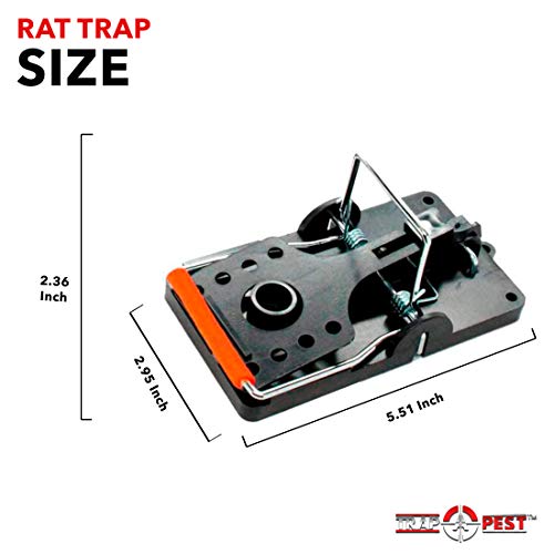 Trap A Pest Humane Rat Trap- Large Rat Traps That Work - Reusable Rat Traps Indoor - Easy to Use Large Rat Traps Outdoor with Instant Humane Kill - Best Rat Trap & Rodent Trap (6 Pack)