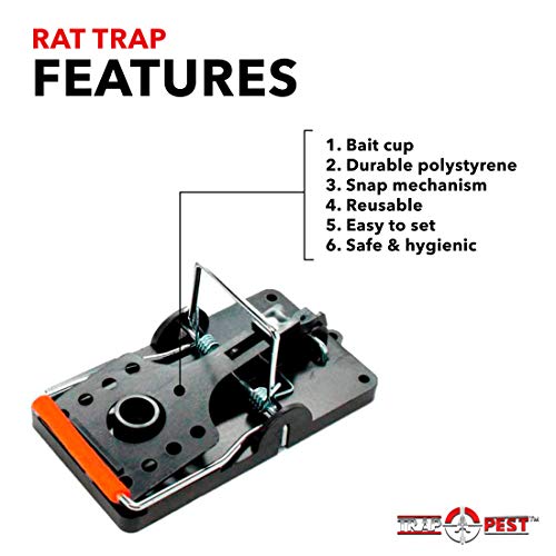 Trap A Pest Humane Rat Trap- Large Rat Traps That Work - Reusable Rat Traps Indoor - Easy to Use Large Rat Traps Outdoor with Instant Humane Kill - Best Rat Trap & Rodent Trap (6 Pack)