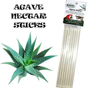 Agave Sticks (8 Straws) - Natural Organic Agave Nectar Straws - Sweet Treat for Small Animals - Sugar Gliders, Marmosets, Parrots, Canaries, Finches, Parakeets, Cockatiels, Other Birds