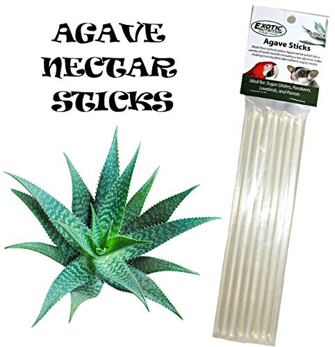 Agave Sticks (8 Straws) - Natural Organic Agave Nectar Straws - Sweet Treat for Small Animals - Sugar Gliders, Marmosets, Parrots, Canaries, Finches, Parakeets, Cockatiels, Other Birds