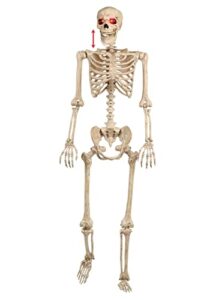 crazy bonez talking pose-n-stay skeleton