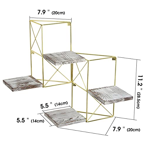 J JACKCUBE DESIGN Wall Mounted Floating Shelves, Set of 2 Gold Frame and Rustic Wooden Planter Display Organizer Shelf for Bedroom, Living Room, Bathroom, Kitchen and Office Decor- MK687A