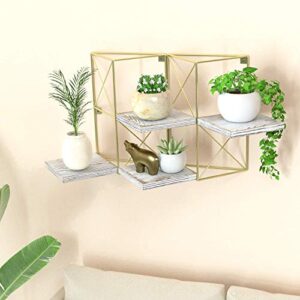 J JACKCUBE DESIGN Wall Mounted Floating Shelves, Set of 2 Gold Frame and Rustic Wooden Planter Display Organizer Shelf for Bedroom, Living Room, Bathroom, Kitchen and Office Decor- MK687A