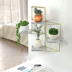 J JACKCUBE DESIGN Wall Mounted Floating Shelves, Set of 2 Gold Frame and Rustic Wooden Planter Display Organizer Shelf for Bedroom, Living Room, Bathroom, Kitchen and Office Decor- MK687A