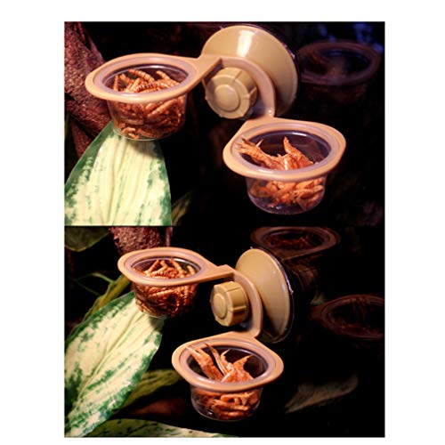 balacoo Pet Feeder Fixed Type Reptile Feeder Safety Hanging Food Feeder Bowl Basin Feeder for Chameleon Tortoise Gecko Iguana Lizard (Double Bowl) Pet Food