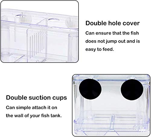 J-star Medium Fish Tank Isolation Box Acrylic Cage Tank Betta Fish Nest, Aquarium Acclimation Hatchery Incubator for Betta, Guppy, Killifish, Clownfish etc.