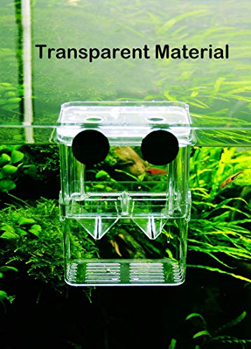 J-star Medium Fish Tank Isolation Box Acrylic Cage Tank Betta Fish Nest, Aquarium Acclimation Hatchery Incubator for Betta, Guppy, Killifish, Clownfish etc.