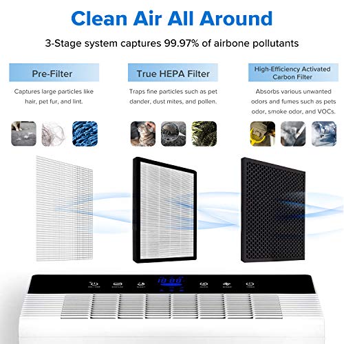 LEVOIT Smart Wifi Air Purifier for Home, Extra-Large Room with H13 True HEPA Filter & Air Purifier LV-PUR131 Replacement Filter, True HEPA & Activated Carbon Filters Set, LV-PUR131-RF