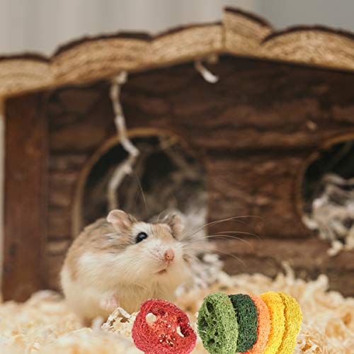 POPETPOP 6Pcs Hamster Molar Toys - Small Animall Toys Colorful Loofah Pet Tooth Cleaning Toy, Dog Cat Chinchillas Small Animal Chew Toys Random Colar