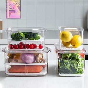 elabo Food Storage Containers Fridge Produce Saver- Stackable Refrigerator Organizer Keeper Drawers Bins Baskets with Lids and Removable Drain Tray for Veggie, Berry and Fruits, 1 Medium and 1 Large