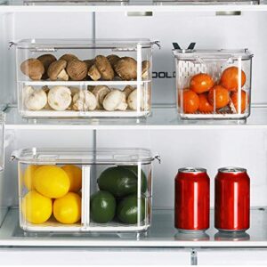 elabo Food Storage Containers Fridge Produce Saver- Stackable Refrigerator Organizer Keeper Drawers Bins Baskets with Lids and Removable Drain Tray for Veggie, Berry and Fruits, 1 Medium and 1 Large