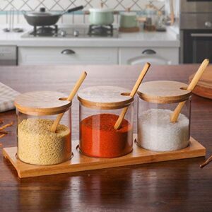 Lawei Set of 3 Condiment Jar with Lids and Spoons - Glass Sugar Bowls Sugar Salt Container Set for Sugar Serving Spice Salt