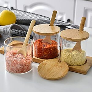 Lawei Set of 3 Condiment Jar with Lids and Spoons - Glass Sugar Bowls Sugar Salt Container Set for Sugar Serving Spice Salt