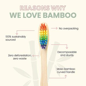 The Future is Bamboo – Rainbow Bamboo Toothbrush for Kids, Pack of 4 Children’s Bamboo Toothbrushes with Soft Wave Bristles