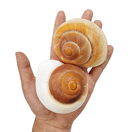 QICQDRAM 2 PCS Muffin Snail Large Hermit Crab Shells 2.7~3.5Inch Natural Sea Conch Opening Size 1"~1.5" Hermit Crab Supplies