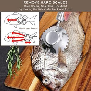 Ginrin Fish Scaler Brush, Fish Scale Remover Made in Japan with stainless Steel Circle Sawtooth