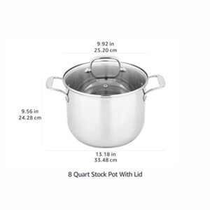 Amazon Basics Stainless Steel Stock Pot with Lid, 8-Quart, Silver