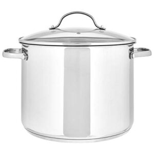Amazon Basics Stainless Steel Stock Pot with Lid, 8-Quart, Silver