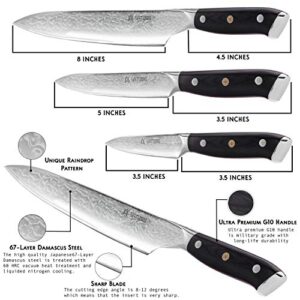 Yatoshi Damascus Pro Kitchen Knife 3 Set Ultra Sharp High Carbon VG10 Steel