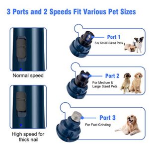 Casfuy Dog Nail Grinder with LED Light - Upgraded 2-Speed Electric Pet Nail Trimmer Powerful Painless Paws Grooming & Smoothing for Small Medium Large Dogs & Cats (Dark Blue)