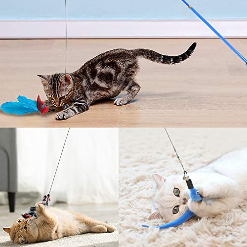 SYEENIFY Cat Toys Kitten Toys Assortments,Cat Feather Toys,Cat Wand Toy,Cat Toys for Indoor Cats