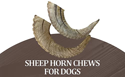 WhiteTail Naturals - Lamb Horns for Dogs (2 Pack) Long Lasting Dog Chews - Grain Free Chew Bone - Natural Sheep Horn Treat - Tough Chew Toy for Medium Breeds and Teething Puppies.