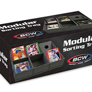 BCW Modular Sorting Tray