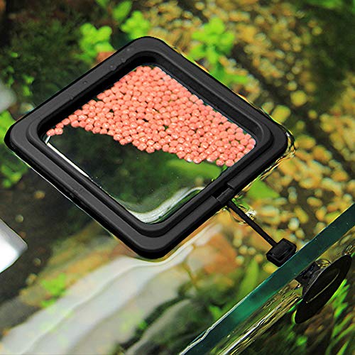 OIIKI 2 Pack Fish Feeding Ring, Aquarium Fish Floating Food Feeder, Square Shape with Suction Cup(Black)