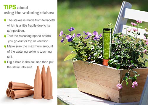 B SEPOR Ceramic Plant Waterer Set of 6 Pack Terracotta Self Watering Spikes,Wine Bottle Plant Watering Devices for Vacation (6Pack)