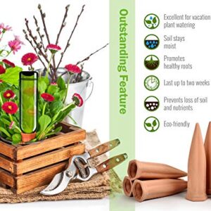 B SEPOR Ceramic Plant Waterer Set of 6 Pack Terracotta Self Watering Spikes,Wine Bottle Plant Watering Devices for Vacation (6Pack)