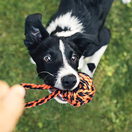 Large Dog Chew Toys, Tough Dog Toys for Aggressive Chewers Large Breed,Heavy Duty Dental Dog Rope Toys Kit for Medium Dogs,5 Knots Indestructible Dog Toys, Cotton Puppy Teething Chew Tug Toy Set of 9