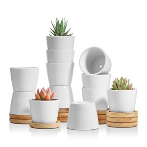 t4u 2.5 inch small white succulent planter pots with bamboo tray round set of 12, ceramic succulent air plant flower pots cactus faux plants containers, white modern decor for home and office