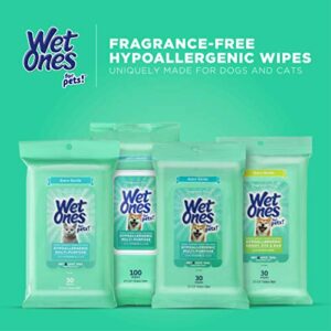 Wet Ones for Pets Hypoallergenic Multi-Purpose Wipes for Cats | Extra Gentle Fragrance-Free Cat Grooming Wipes with Vitamins A, C, & E, Wipes with Wet Lock Seal | 30 Count Pouch Cat Wipes