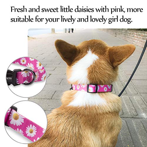 QQPETS Adjustable Soft Dog Collar: Print Flower Pink Multicolor Cute Patterns for XS Small Medium Large Pet Girl Boy Puppy Walking Running Training (M, Small Daisies)