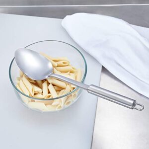 AmazonCommercial Stainless Steel Spoon, Solid