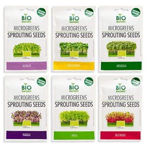microgreens seeds kit organic nongmo heirloom - seeds | 6-pack (150g) alfalfa, arugula, beetroot, cress, radish, sunflower | indoor planting and sprouting